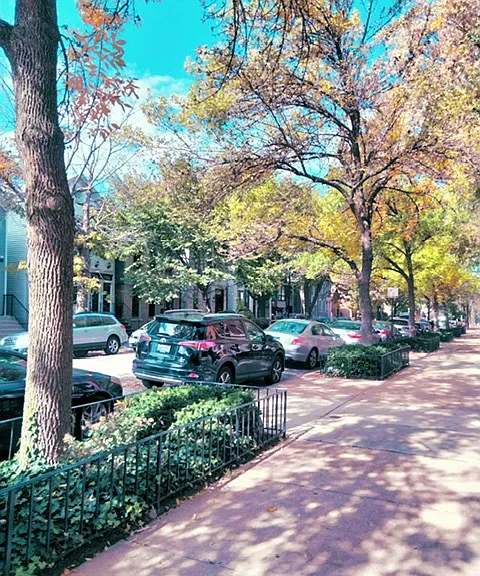 1612 N Cleveland Ave #3R — Photo 17