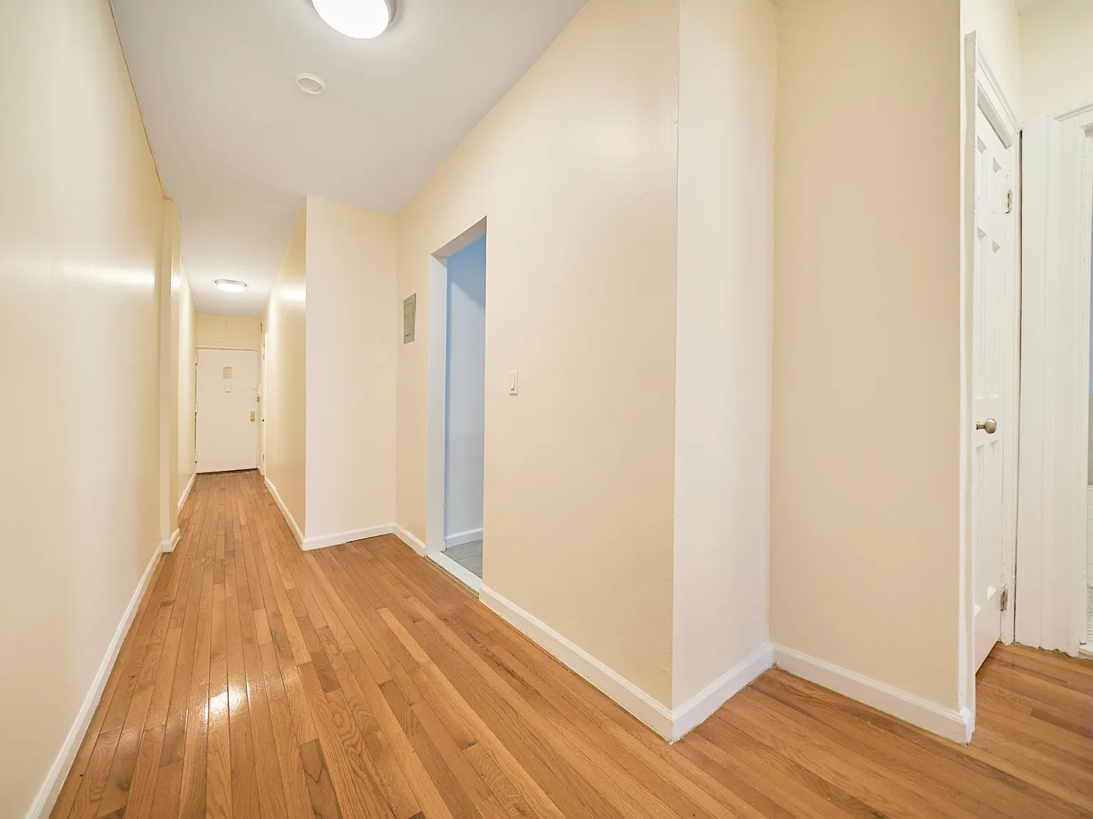 2 Ellwood Street — Photo 4