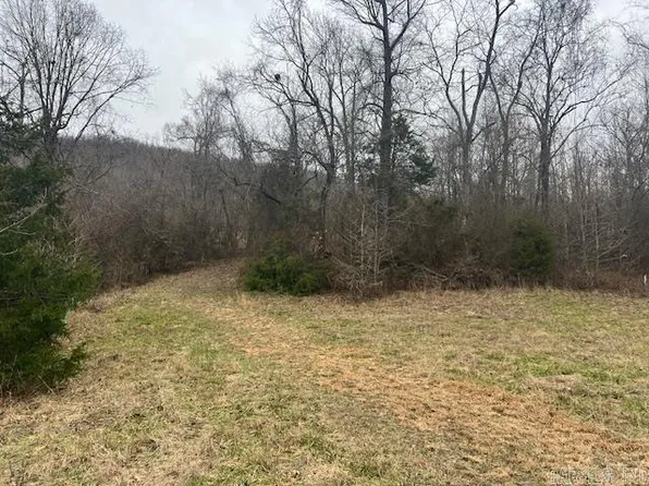 (undisclosed Address), Jasper, AR 72641