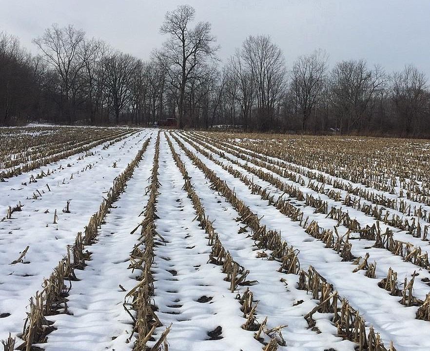2nd image of 6581 Bunton Rd