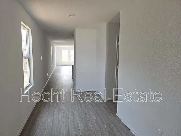 9262 Honey Mesquite — Photo 4