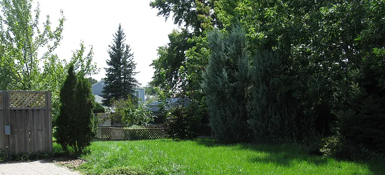 Backyard
