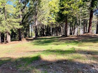 2780 Randolph Canyon Rd, Pollock Pines, CA 95726