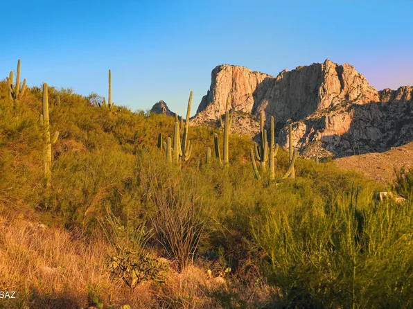 10576 N Buck Ridge Dr #Drive51, Tucson, AZ 85737