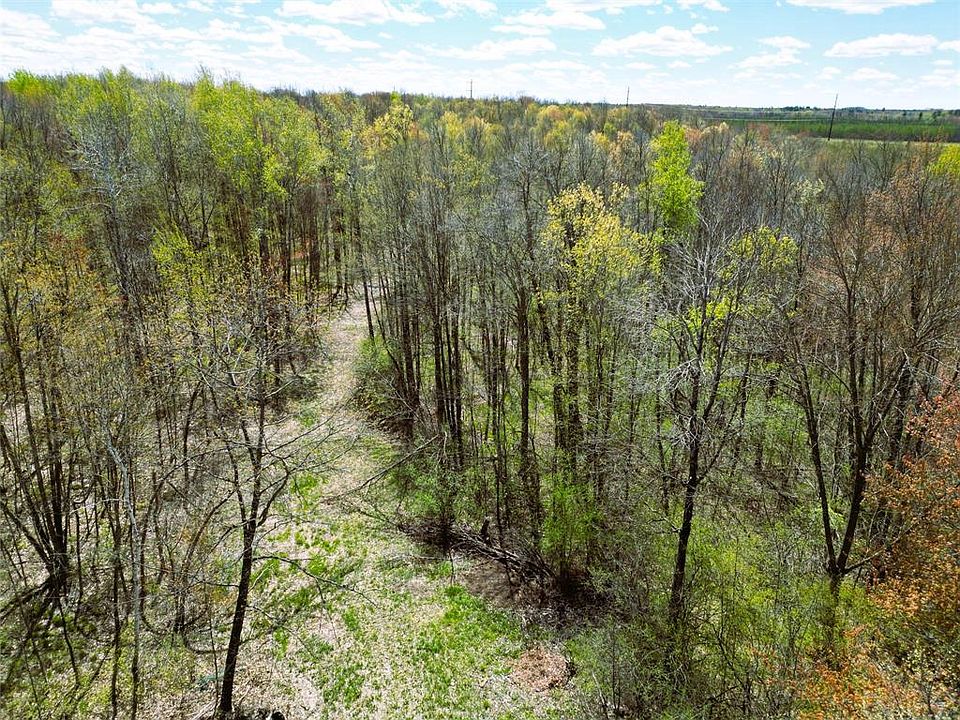 1st image of 96+ Acres on White Birch Ridge Road