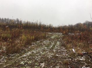 Walker Rd, Afton, MI 49705