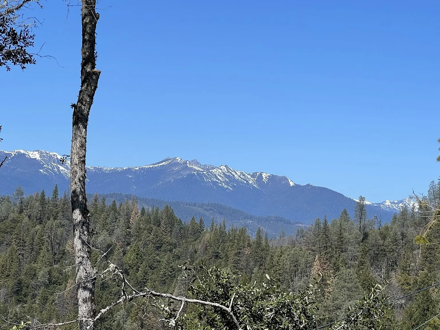 51 Twin Oaks Rd photo 1