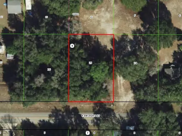 3653 E Delight St, Hernando, FL 34442