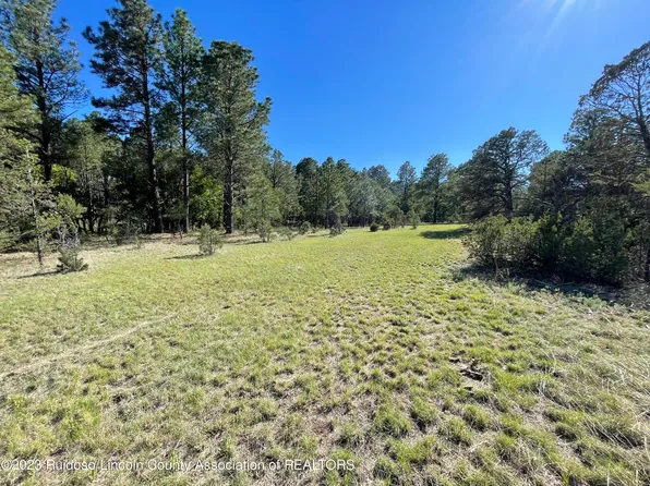 122 Este Dr, Nogal, NM 88341