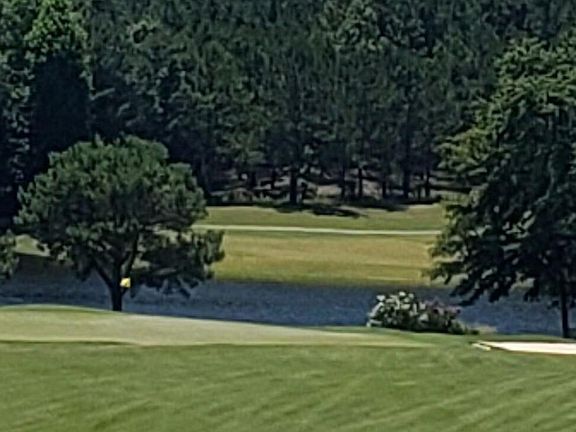 2nd image of 543 W Pleasant Colony Dr Lot 290