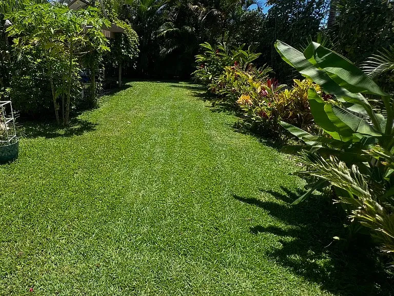 Kenolio Rd — Photo 4