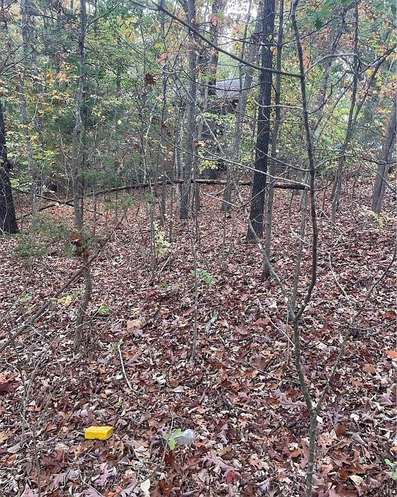 2nd image of Grace Ln #11