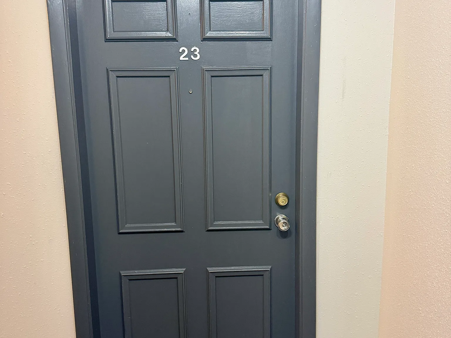 1 bed, 800 sqft, $1,295 — Photo 2