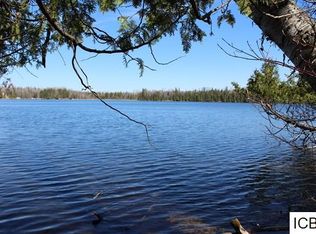 TBD County Rd #252, Bigfork, MN 56657