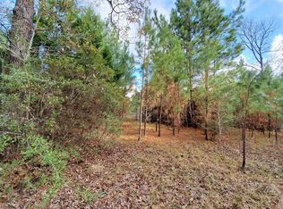 4801 Fm 256 E, Colmesneil, TX 75938