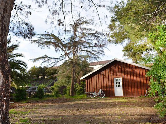 Your Cottage in the Woods