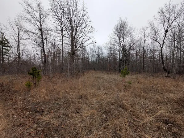 10648 Sydney Lane, Birch Tree, MO 65438