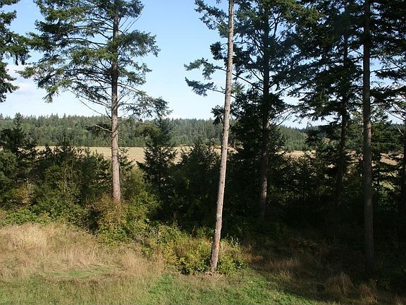 Valley View