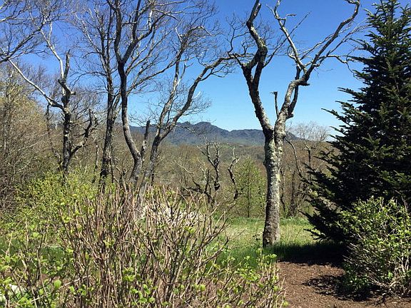 4th image of 698 Craggy Pointe 21b