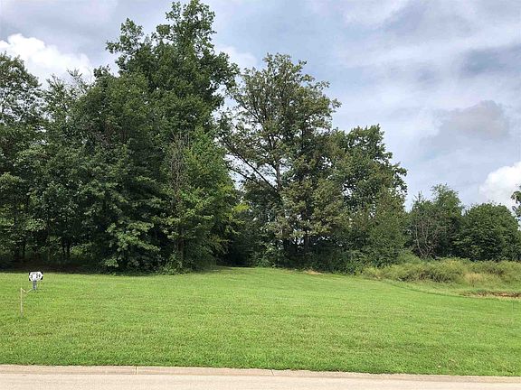 5th image of 540 Whitetail Ct