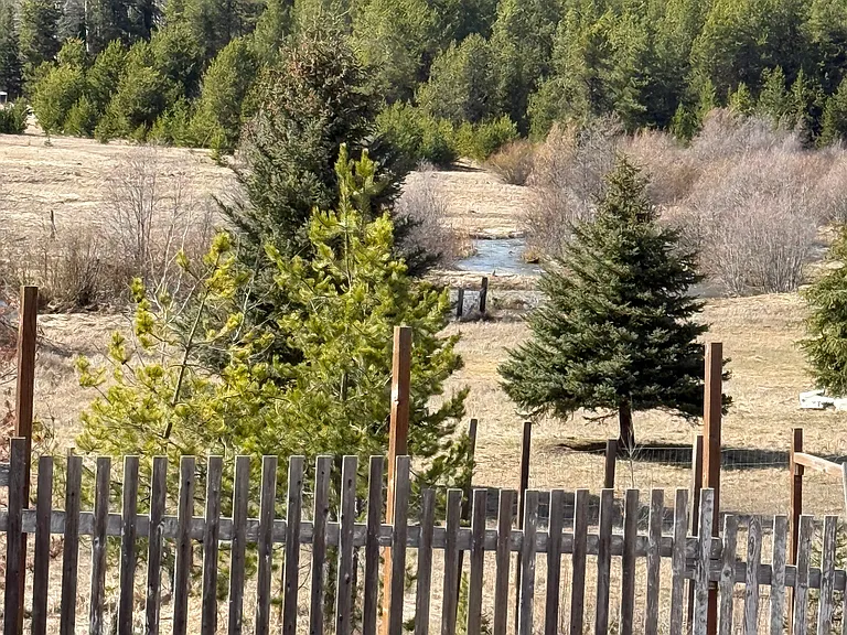 118 Old Renee Lake Rd — Photo 12