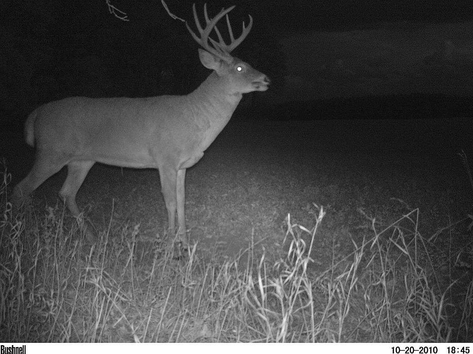 1st image of 1st Ct