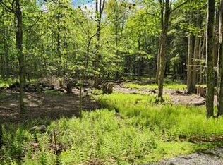 29 Old Silver Mine Trl, Gouldsboro, PA 18424
