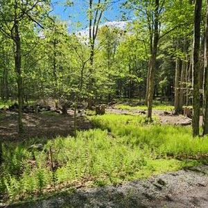 29 Old Silver Mine Trl, Gouldsboro, PA, 18424