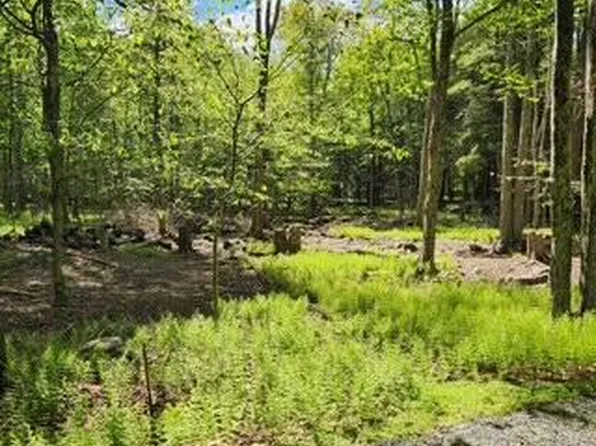 29 Old Silver Mine Trl, Gouldsboro, PA 18424