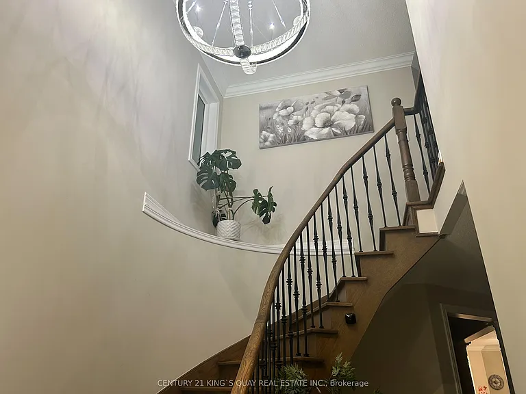 52 Brockdale St — Photo 1