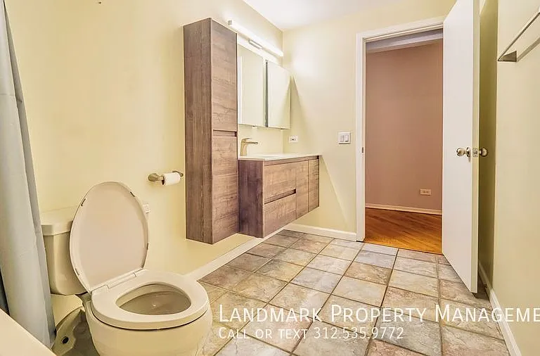 375 W Erie St #403 — Photo 18