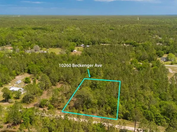 10260 Beckenger Ave, Hastings, FL 32145