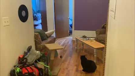 Rented by Urban Pads