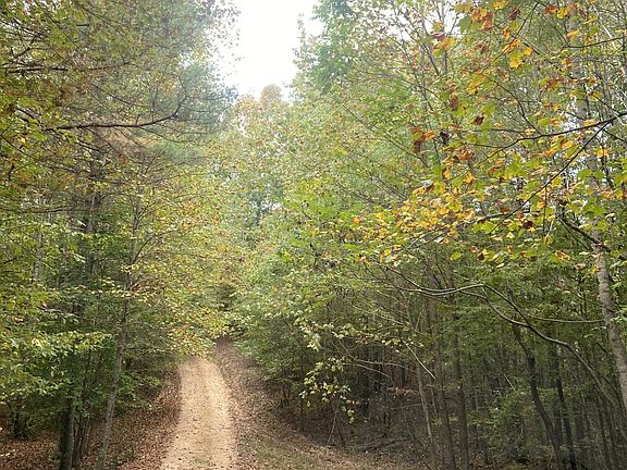 4th image of 2023 Wayland Springs Rd