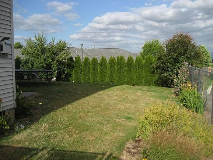 Backyard View