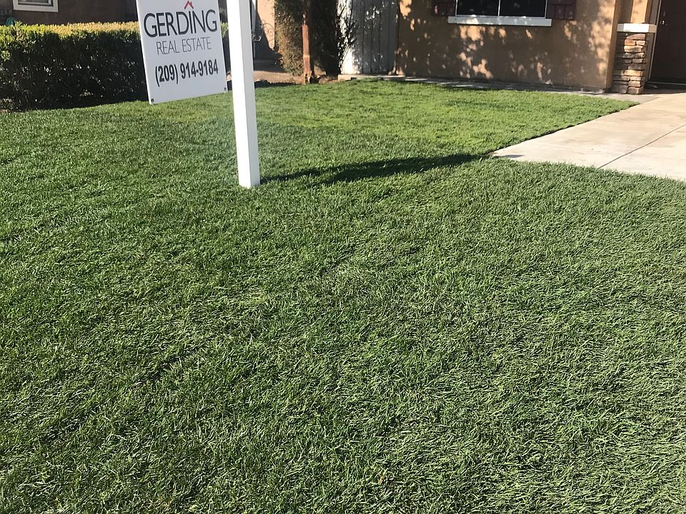1st image of 303 Olivine Ave