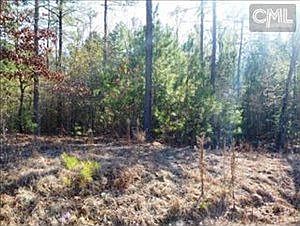 2nd image of 1253A Miller Rd