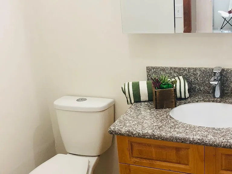4486 Luapele Pl — Photo 3