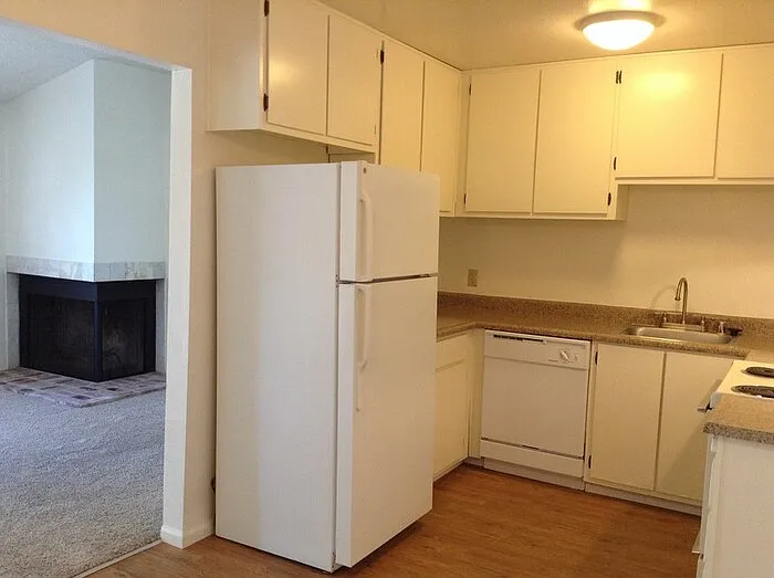 519 Downie St #519 — Photo 9