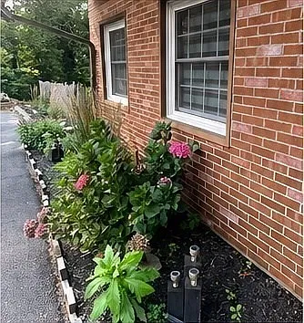 2 bed, 1.0 bath, 1500 sqft, $2,100 — Photo 2