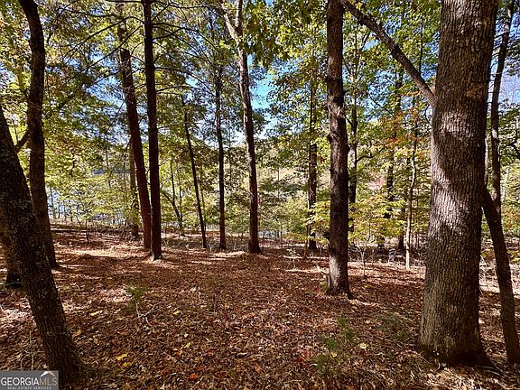 5th image of 29 Forked Leaf Rd