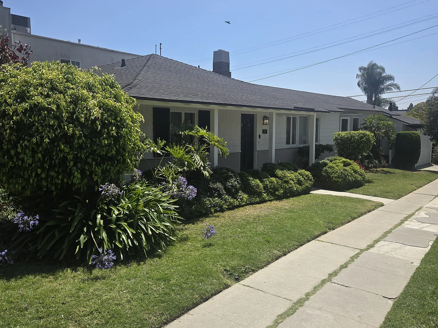 1501 Edris Dr — Photo 1