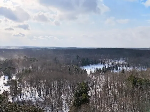 6182 Hamilton Rd, Harrison, MI 48625