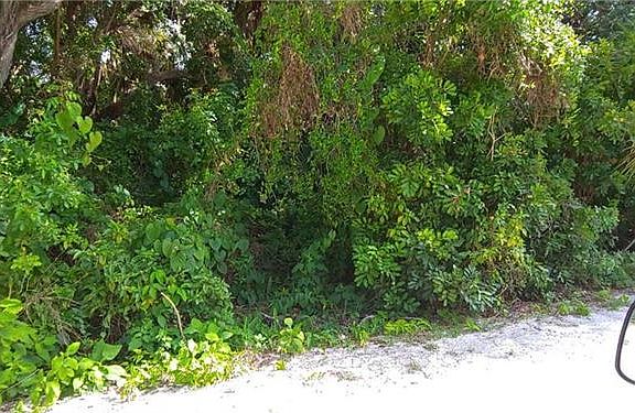 4th image of 1485 Pelican Ln