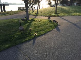 4131 48th Ave SW, Seattle, WA 98116