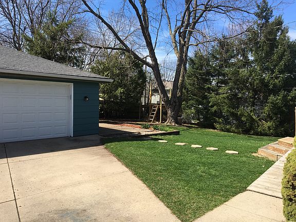 Back yard