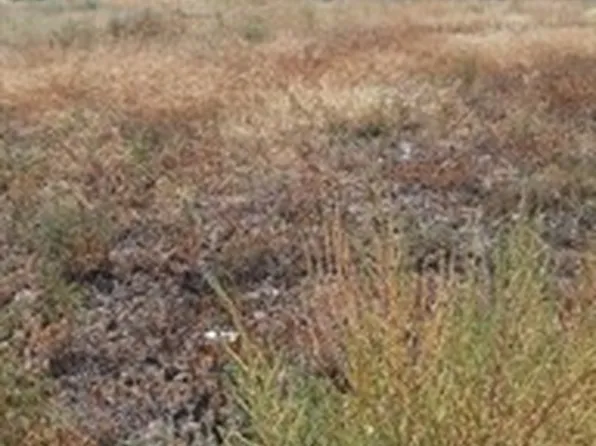 1115 Arlington Drive, Moses Lake, WA 98837