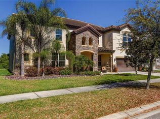 19315 Yellow Clover Dr, Tampa, FL 33647