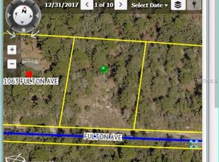 11075 Fulton Ave, Weeki Wachee, FL 34613