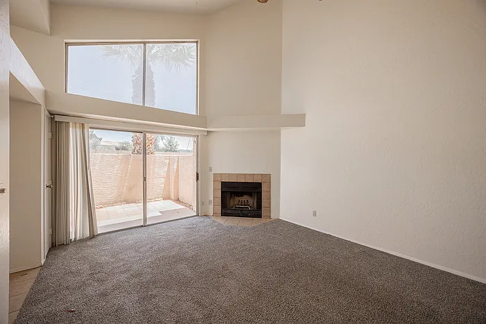 2019 W Lemon Tree Pl #1110 — Photo 8